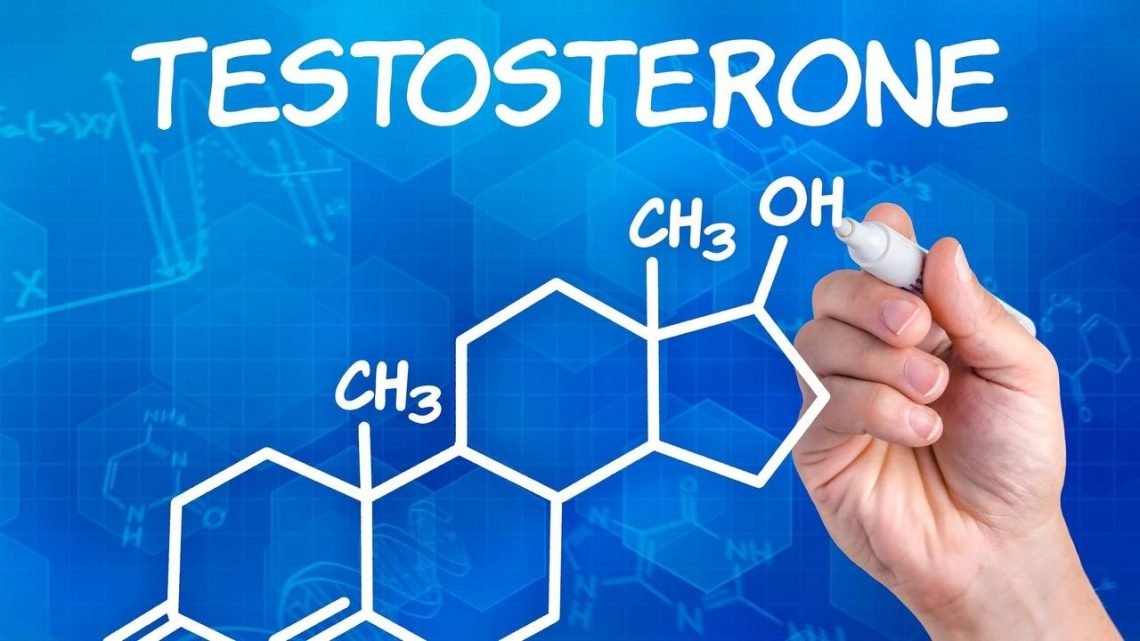 How Is Testosterone Made Inside The Body And Why It Is So Important